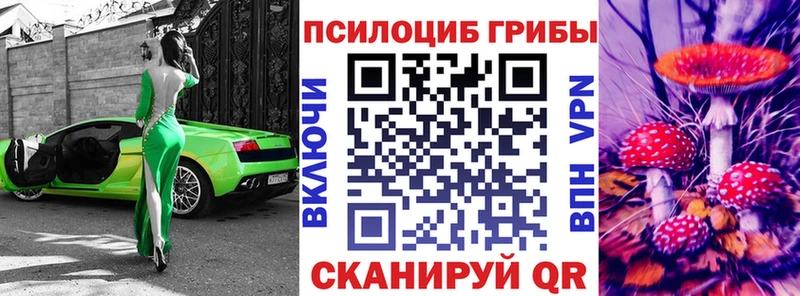 Псилоцибиновые грибы Cubensis  где купить   Почеп 