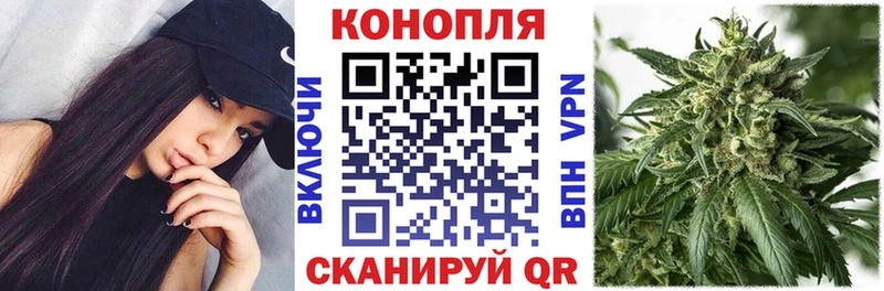 как найти закладки  Почеп  Бошки Шишки сатива 